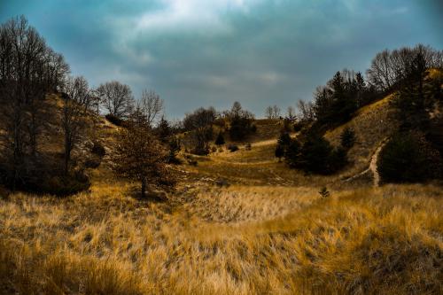 Kemmel beach dunes,