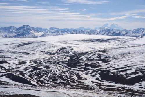 Yesterday in Denali National Park