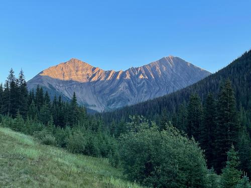 Afternoon drive in Kananaskis Park, Alberta, Canada