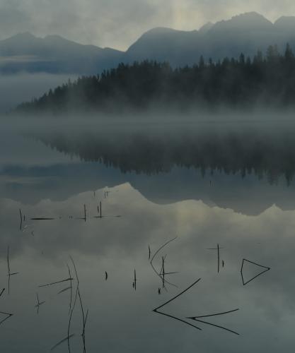Reflective Reeds at Logging Lake, Glacier NP, MT. @seanaimages