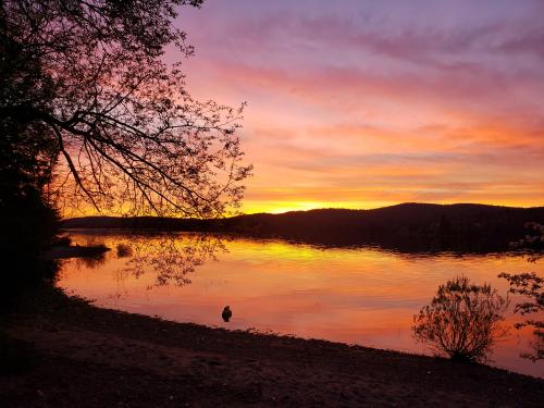 Stillwater Reservoir, western Adirondacks