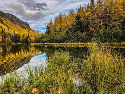 Fall is exploding in Alaska right now