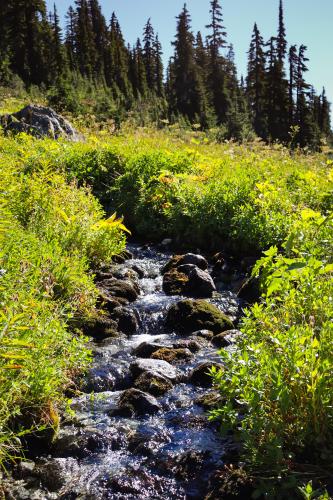 Brandywine Meadows, BC