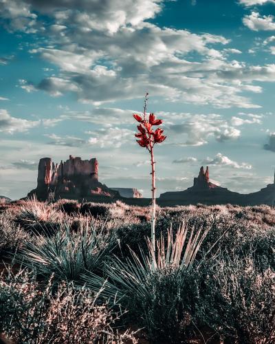 Monument Valley