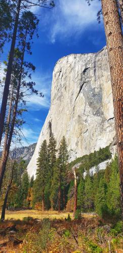 El Capitan, Yosemite National Park 🇺🇲🇺🇲...