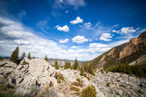 Gardiner, MT