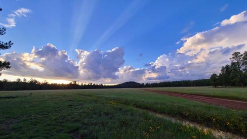 Coconino National Forest, Coconino County, Arizona