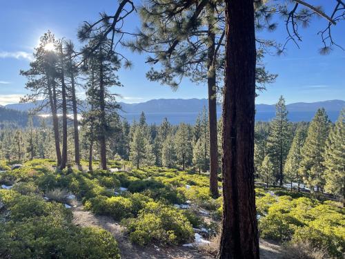 Lake Tahoe from Zephyr Cove, NV