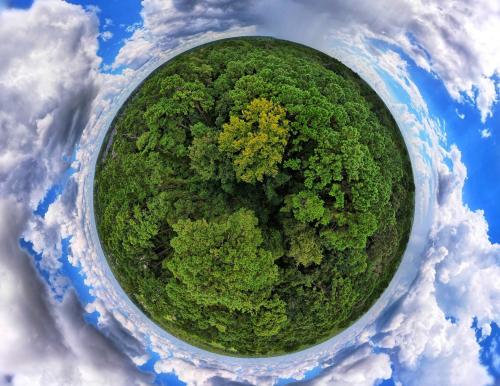 Forest And Clouds Is All You Need Sometimes, Texas