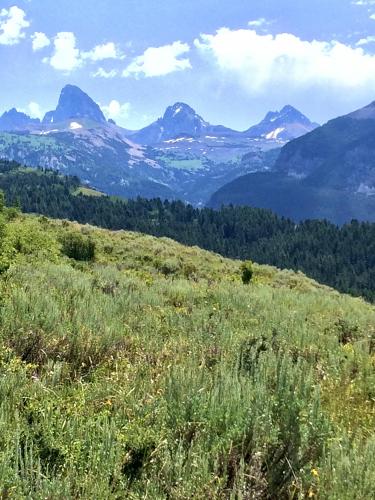 Grand Tetons from Alta Wyoming