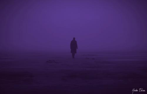 Blade runner purple edition