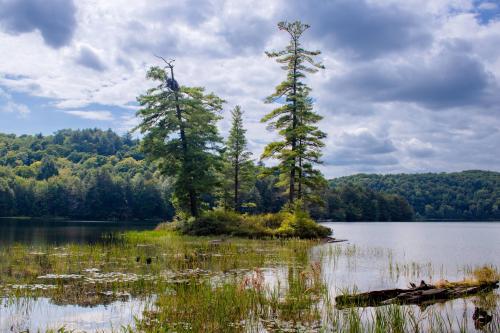 A Lonely Island in Ontario Canada