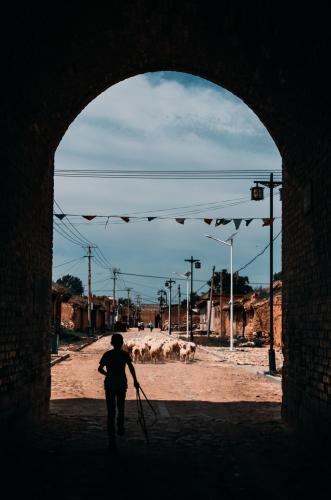 Guangwu, an ancient military fortress, most of the inhabitants are descendants of the soldiers who once stationed here. At noon, a shepherd boy drove his sheep home for lunch.  2014 China