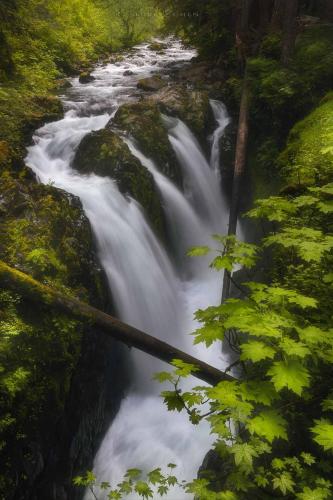 Sol Duc Falls, Olympic National Park
