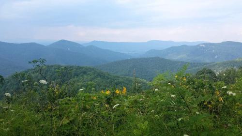 Layers of hills at Shenandoah National Park