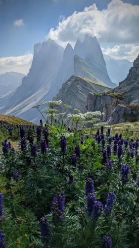 The view from the top of Seceda.