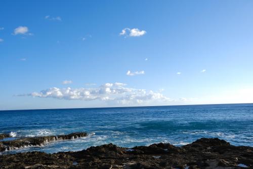 Watching the Ocean at Ka’ena Point