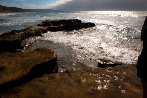 Torrey Pines State Beach, San Diego, CA