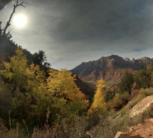 Zion National Park