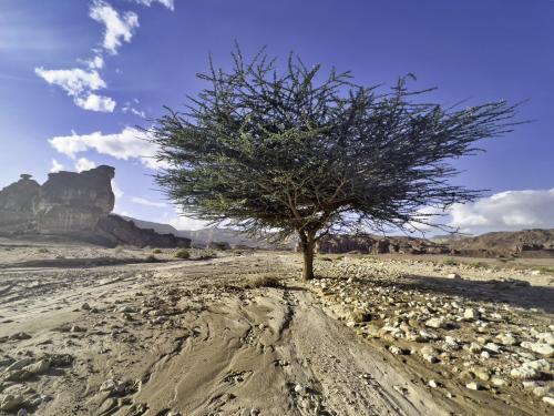 Timna Desert Park, Southern Israel 3586 × 2690 OC