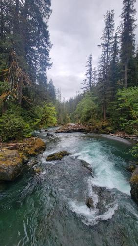 Staircase Rapids, Olympic National Park