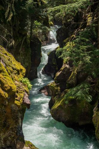 Avalanche Gorge, Glacier National Park, Montana