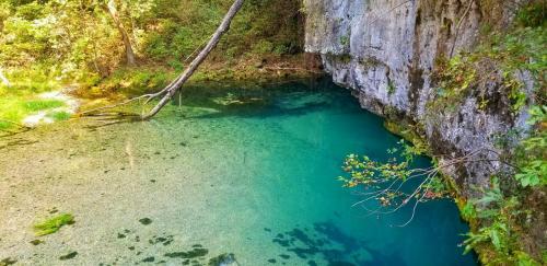 Beautiful spring at the Lake of the Ozarks [1280 x 622]