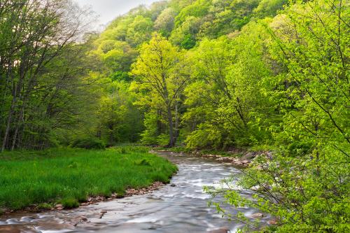 Cheat River in spring, WV USA
