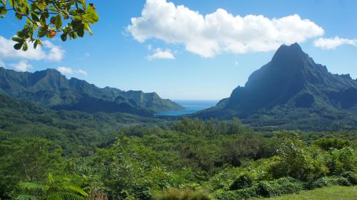 Hiked in Mo'orea, French Polynesia