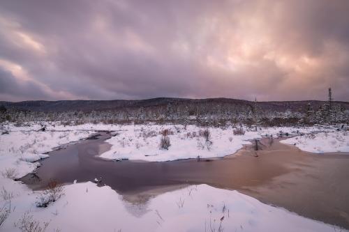 West Virginia Highlands - river wetlands in winter