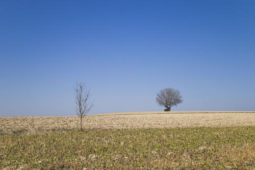 The End of Winter near Passau, Germany