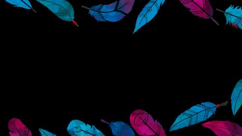 Feathers