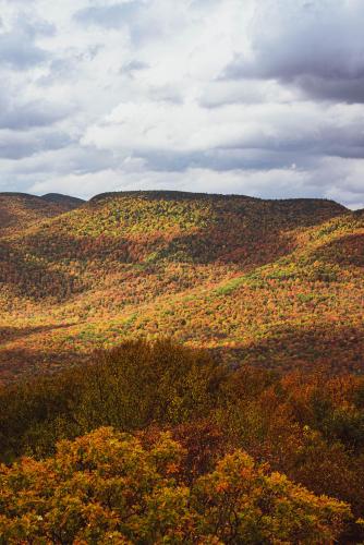 Colors of Autumn, Overlook Mtn, NY