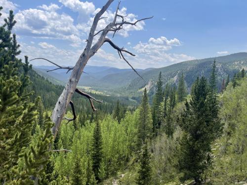 Shelf lake trail - Silver Plume, Colorado, USA -