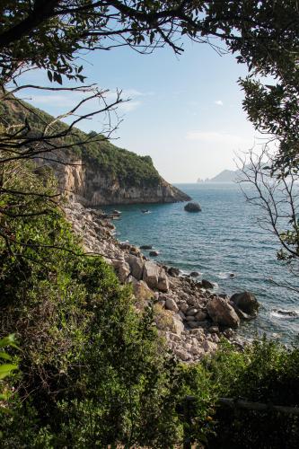 Cala di Mitigliano, Napoli Italy