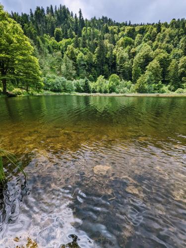 Lake Nonnenmattweiher in Kleines Wiesental, Germany