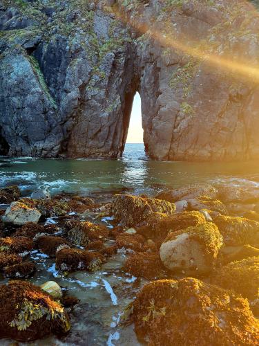 Tidal pool at sunset, Oregon.