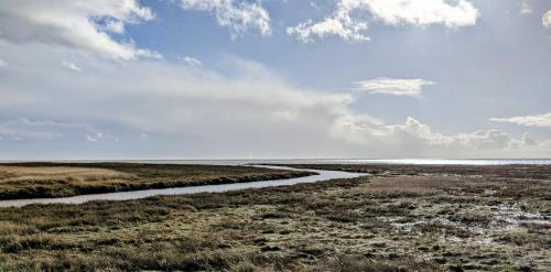 Salt marshes reaching into the North Sea, Germany
