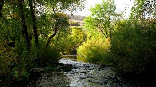 A creek near Provo, Utah.