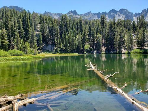 Emerald Lake, Inyo National Forest [] 