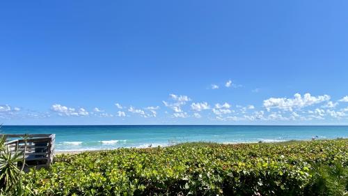 View from my living room balcony this afternoon in West Palm Beach, FL.