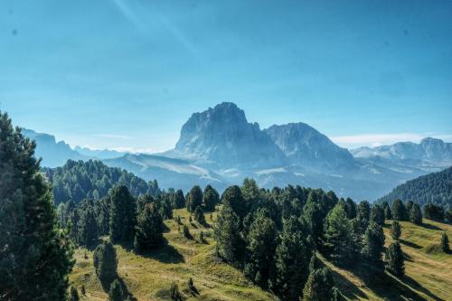 Distant view of Langkofel, Dolomites, Italy