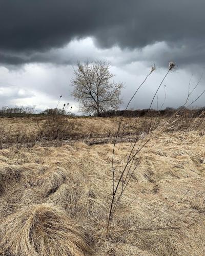 Health Valley Trail in Waterloo, Ontario