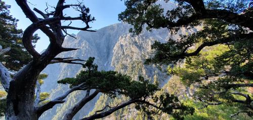 Samaria Gorge at Crete, Greece