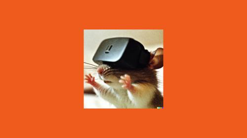 Virtual Rodent
