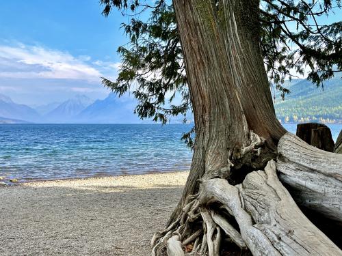 Apgar MT—Glacier National Park