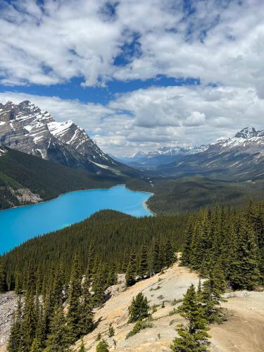 Peyto Lake, Alberta Canada