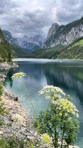 Gosausee, Upper Austria