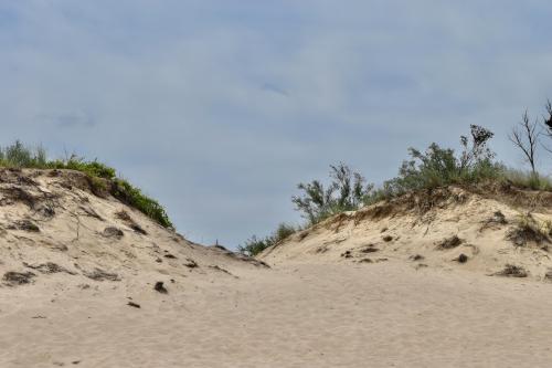 Dunes at Indiana Dunes NP