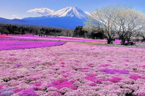 Mount Fuji, Japan